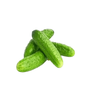 Turşuluk Salatalık