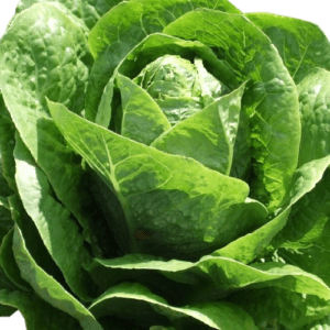 Prezental (Yedi Kule)