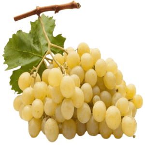 Çekirdeksiz Üzüm