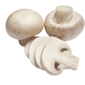 İri Kültür Mantarı