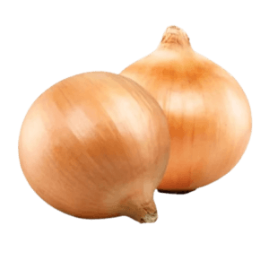 Kuru Soğan